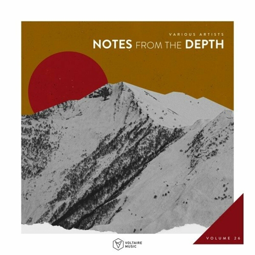 VA - Notes from the Depth, Vol. 26 [VOLTCOMP1187]